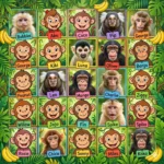 monkey names